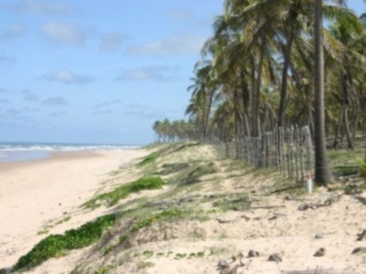 Terreno Subauma 1520 hectares com 1060 metros frente mar